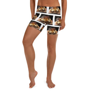 Yoga Shorts - Cheesey Fishnets - all over